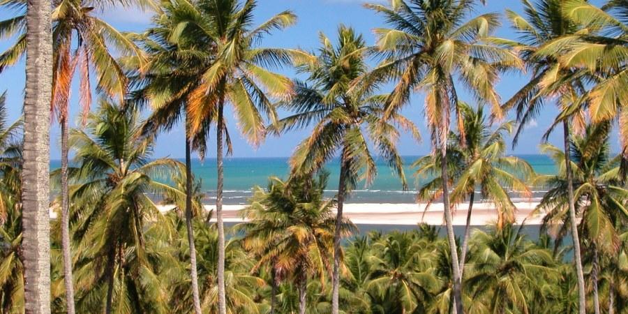 Barravilha Chales Barra do Cunhaú Exterior foto